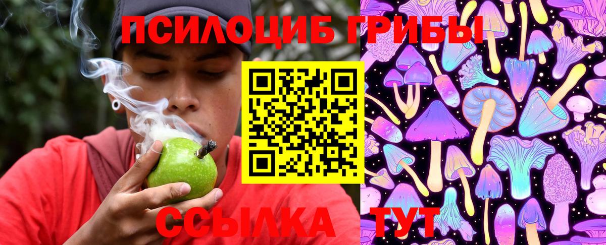 Гурьевск  Псилоцибиновые грибы мицелий  Вход с VPN  Псилоцибиновые грибы мицелий 